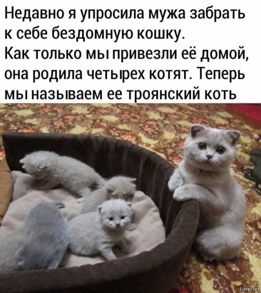 ))