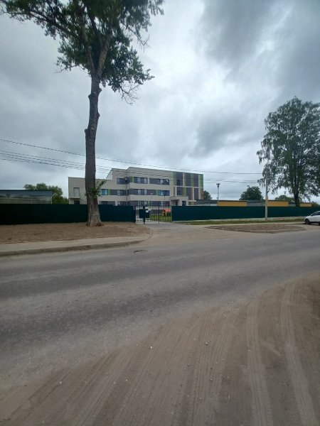 picture_343462335