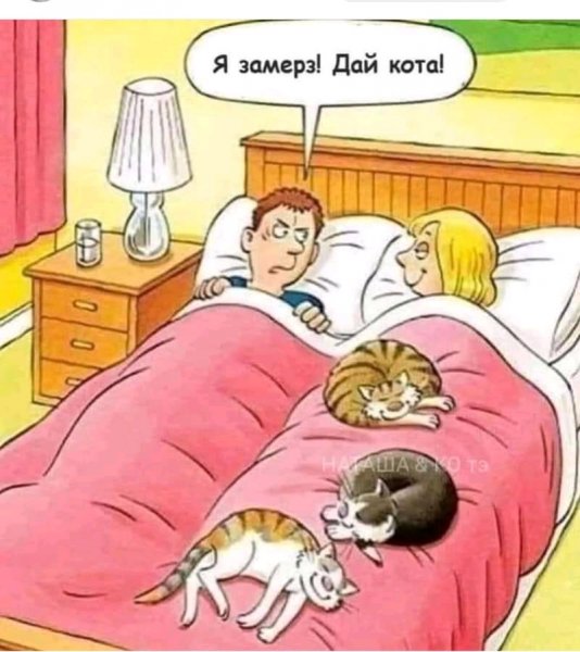 FB IMG 16974547518551876