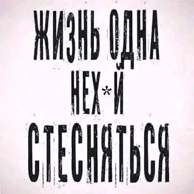 FB IMG 17064727876785619