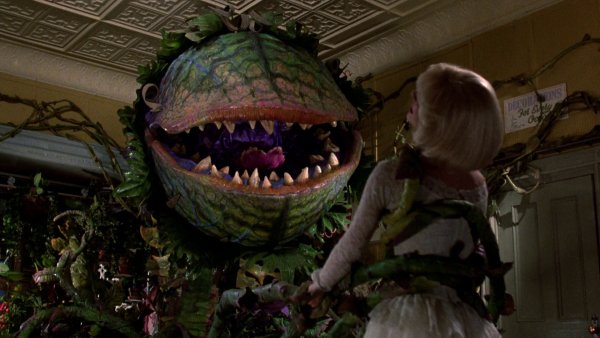 little shop of horrors