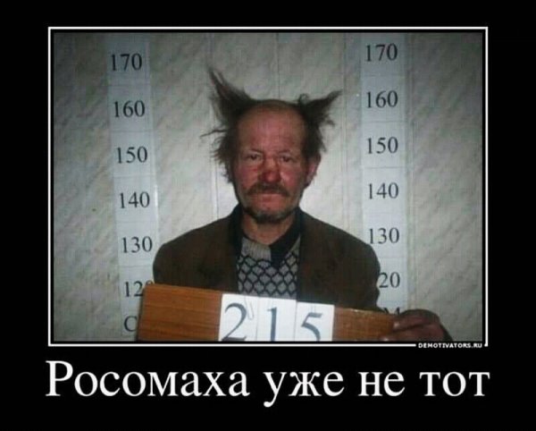 демотиваторы 043700