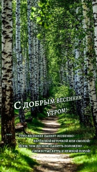 Друзья!