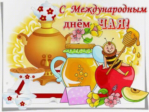 IMG-20181215-WA0021