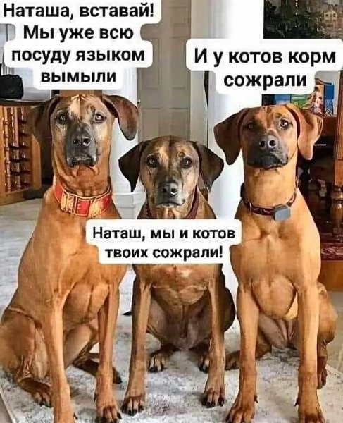 Оба - на!!!