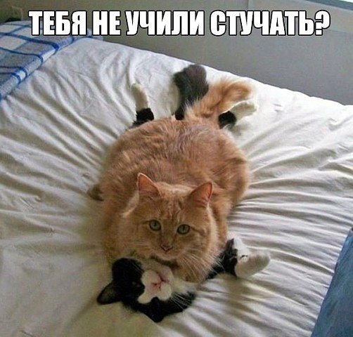 image (5)