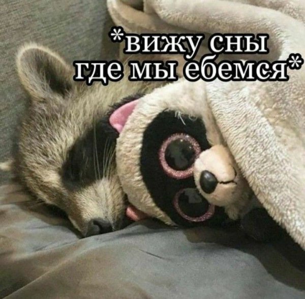 Ac72fba53f7e89ec0546e11d1eaf284b