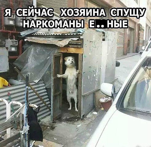 IMG 20210204 004256