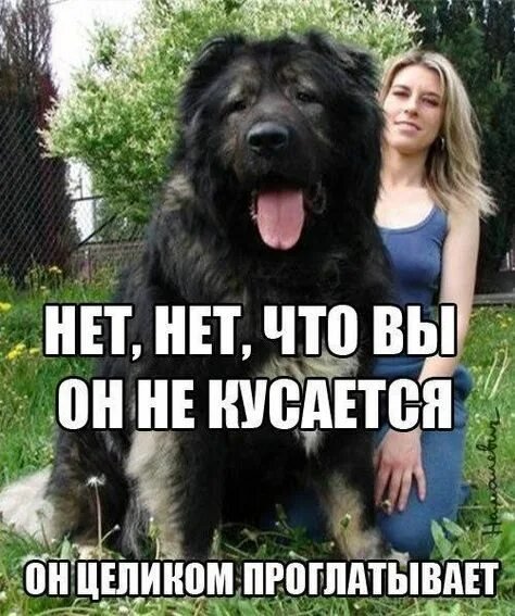 Да! ))