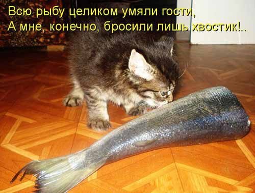Опаньки!
