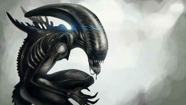 Alein2
