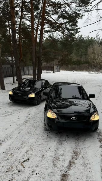 picture_407533915