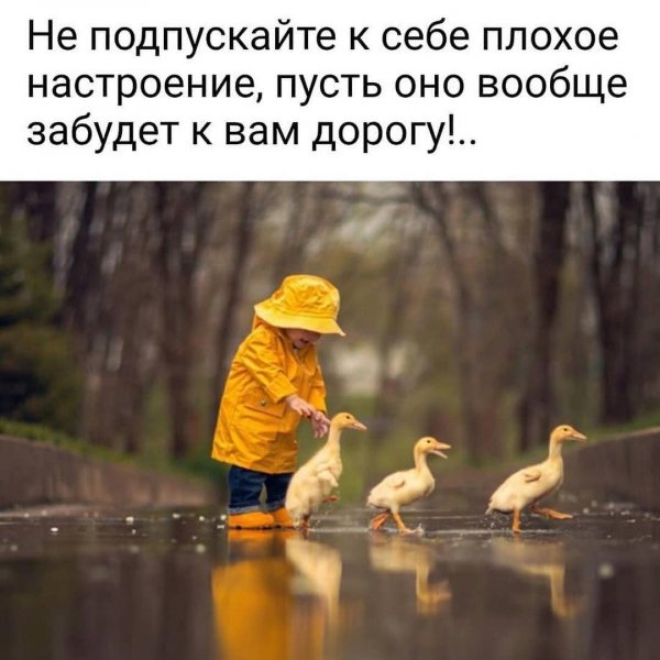 d0011881c11ae1f58d226c01ceb26607