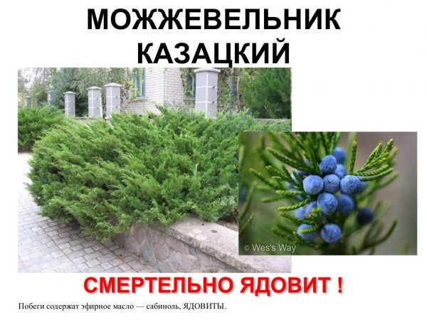 Это надо знать