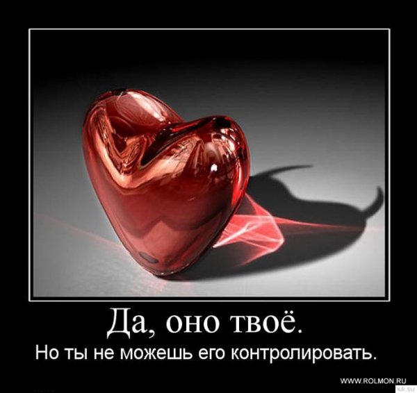Demotivatory (60)