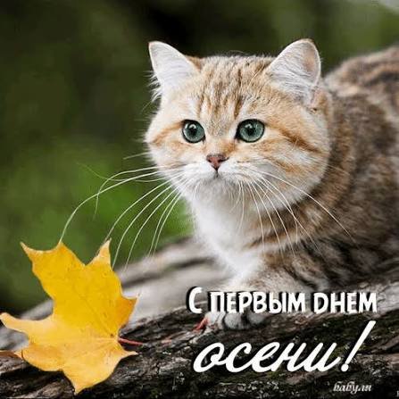 09-01