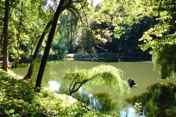 Краснокутский дендропарк. (2)