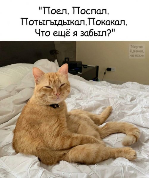 А???