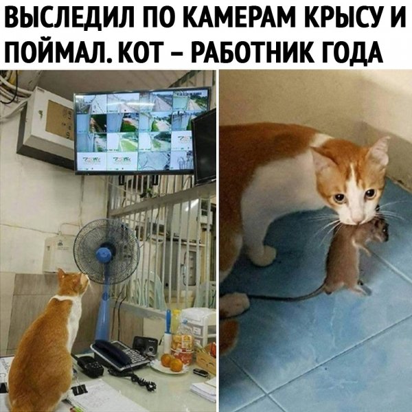 работник