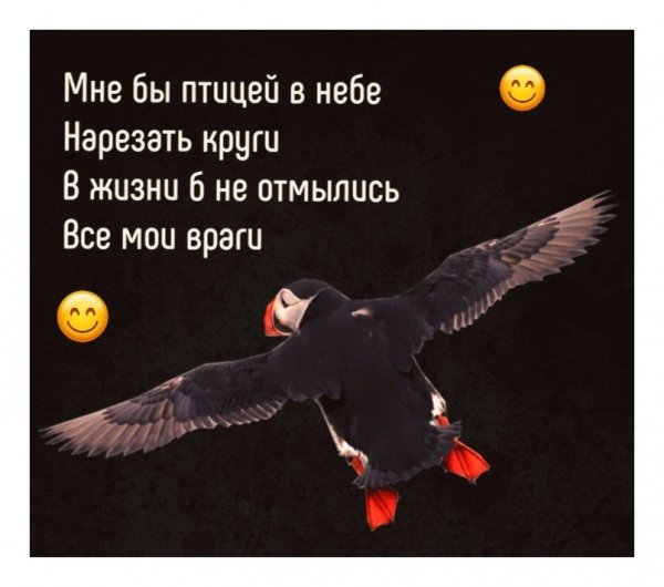 Ojwr5JnVqOg