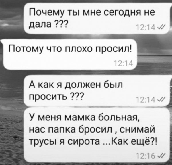 IMG 20260617 391