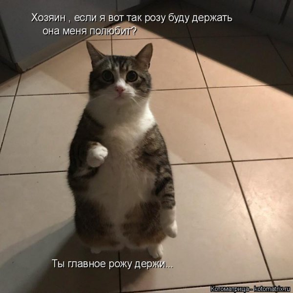 Да! ))