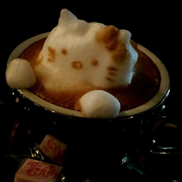 Coffee 3D-Latte-Art-by-Kazuki-Yamamoto
