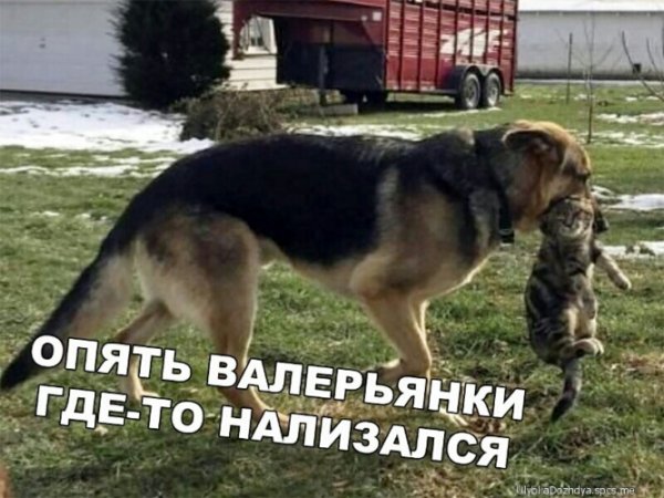 Да! ))