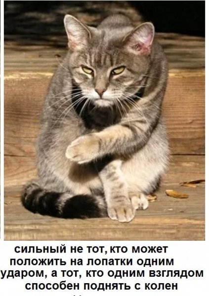 Да! ))