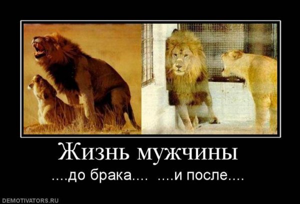 Demotivator (21)