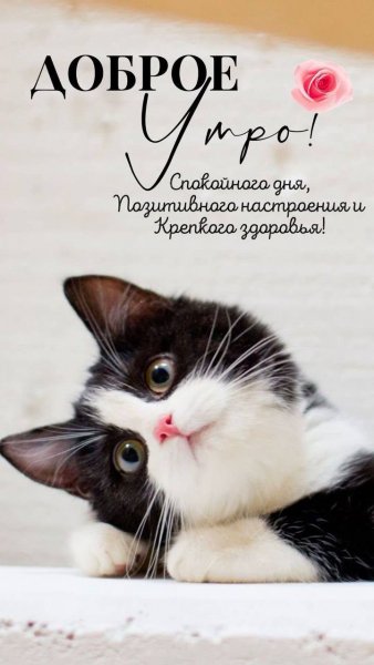 IMG-20241205-WA0005