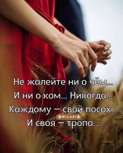 2D8A95BB-A0BA-4C0D-942A-7CD704D71563