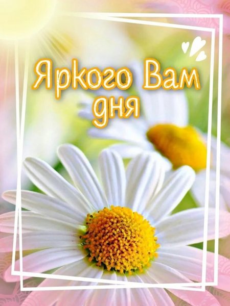 Друзья мои!
