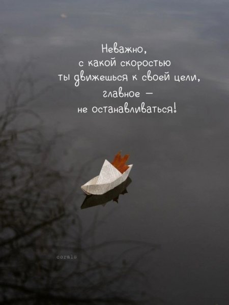 6T7FMKsl6 9jU0XG 3LNmdWmBPgr0GXfSmY3ktJ5edlya9Ark9s RfNasLGg