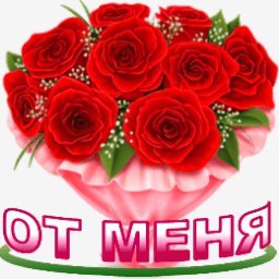 розы