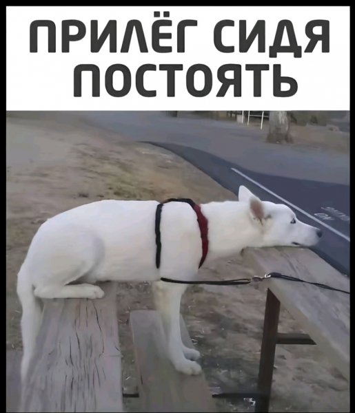IMG 20250325 222507