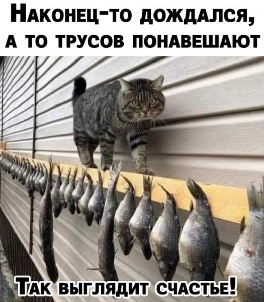 Так выглядит счастье!