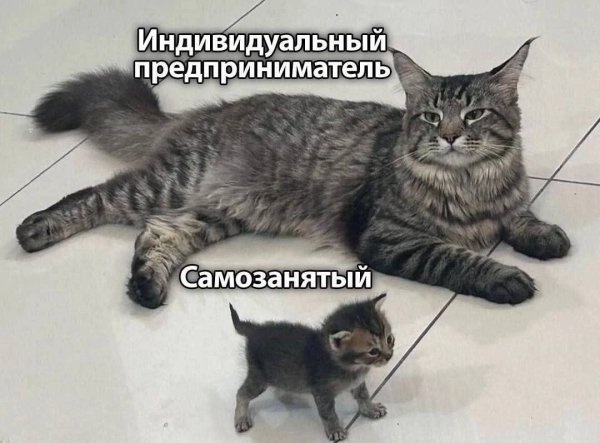 ZNo7kBRV7Fo