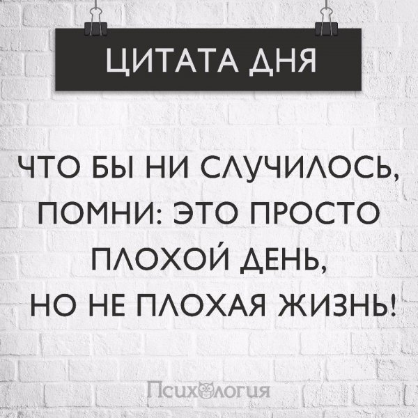 Цитата дня