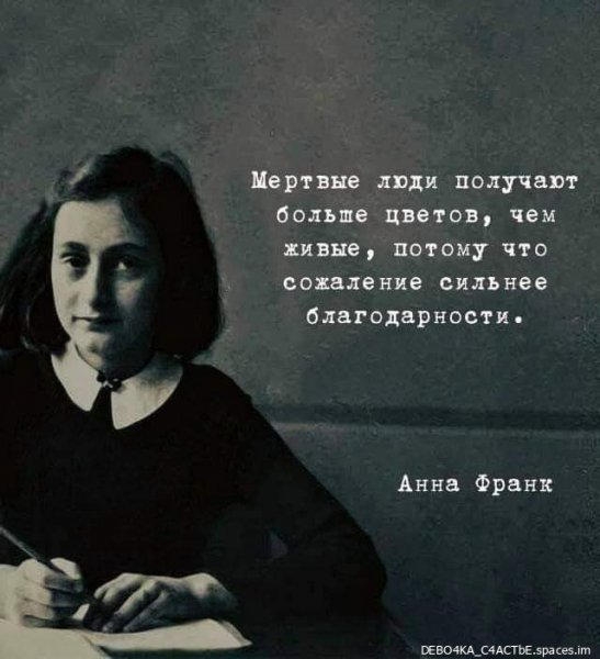 IMG 1687431603005