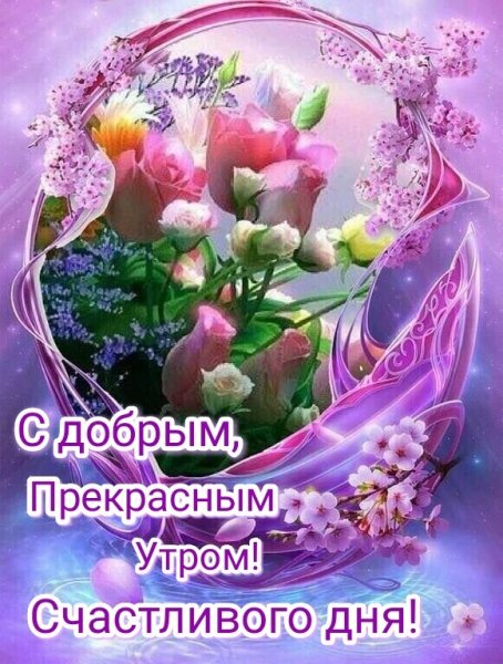 IMG-20220219-WA0045