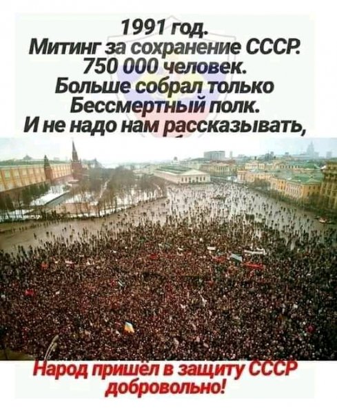 FB IMG 16225412353334062