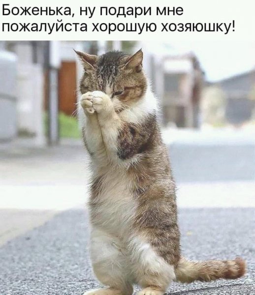 FB IMG 15831041016214761
