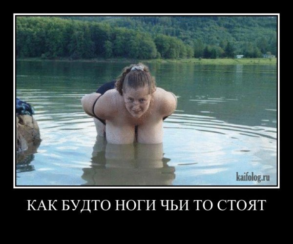 picture_232848643