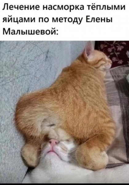 Яйца насморк