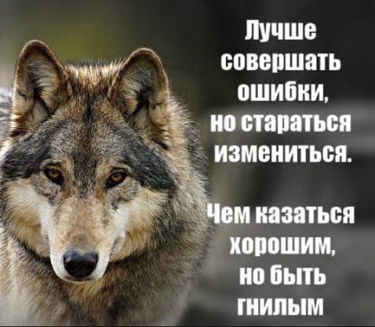 picture_215269009