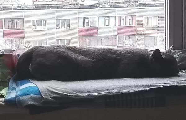 picture_374124996