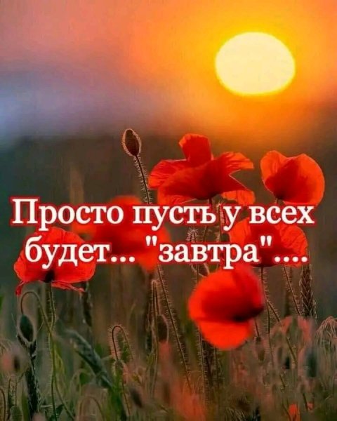 FB IMG 16487112676547552