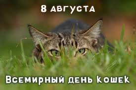 День Кошек