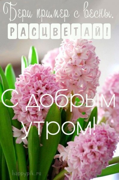 a789ed8f88f485cf0c519a1d51b8f